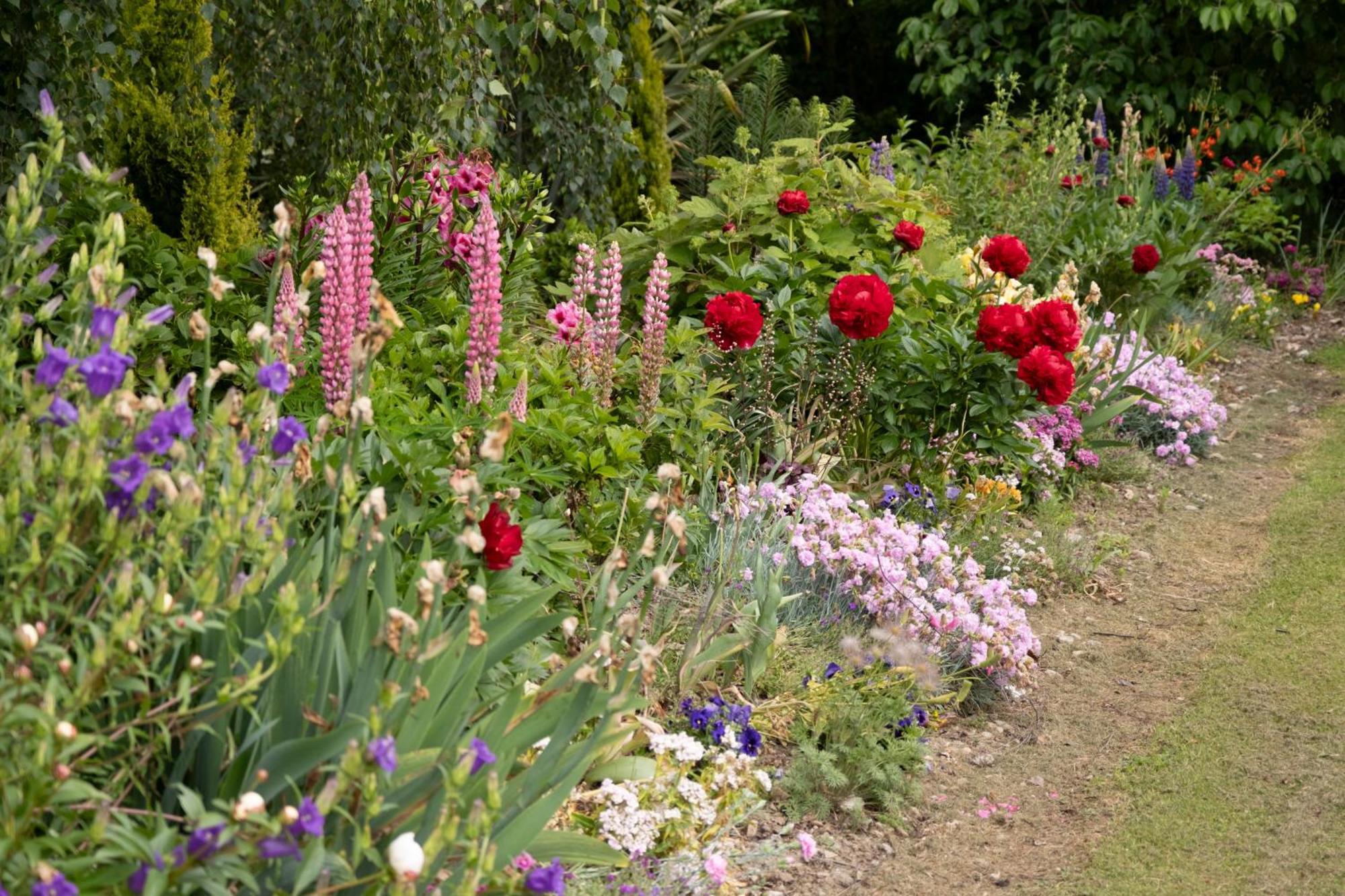 Benger Garden Chalets Millers Flat Eksteriør bilde